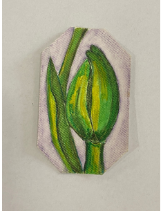 IL VERDE
