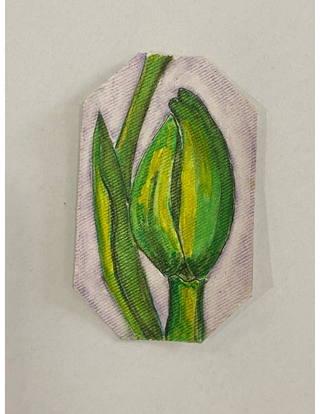 IL VERDE