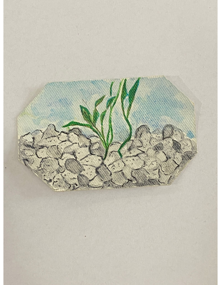 IL VERDE