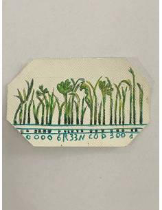 IL VERDE
