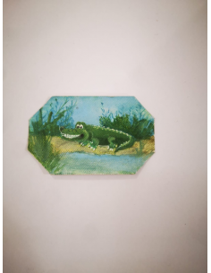 IL VERDE