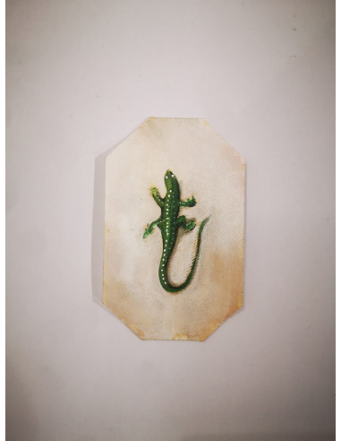 IL VERDE