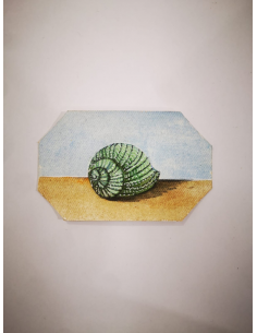 IL VERDE
