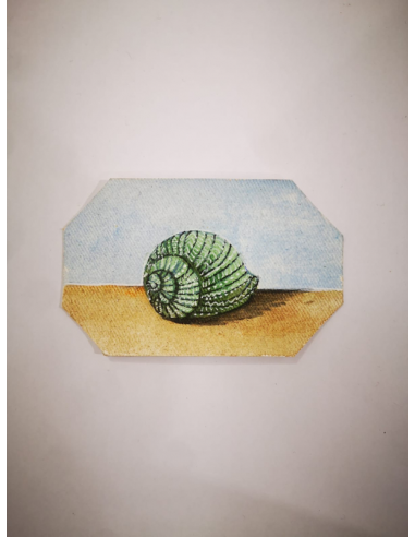 IL VERDE