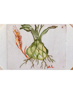 Un bambino, una radice