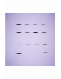 CANVAS - MODA CENTER: tema scelto da Enza Doimo