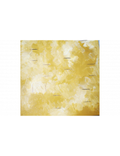 CANVAS - MODA CENTER: tema scelto da Enza Doimo