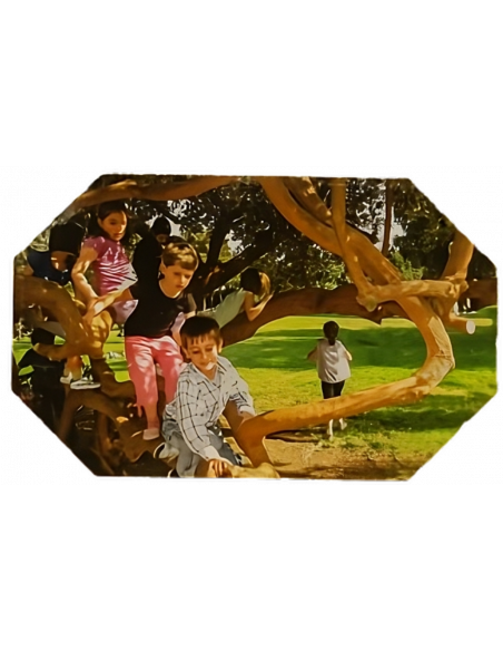 Connettiamoci alla Natura