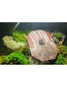 Diamanti nelle Radici