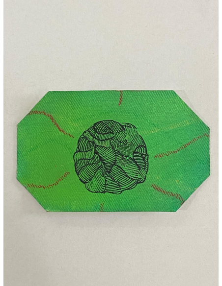 IL VERDE