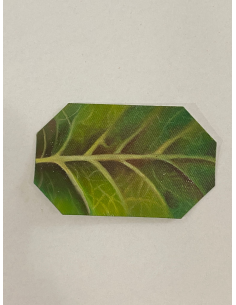 IL VERDE