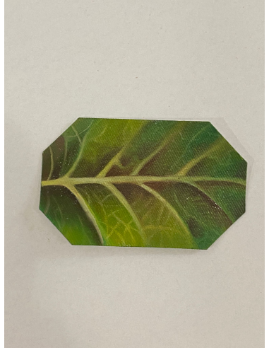 IL VERDE