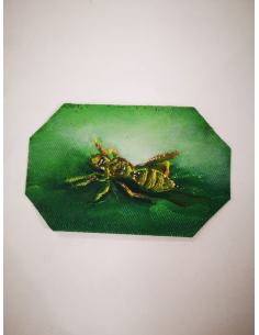 IL VERDE